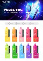 Pulse THC Disposable Vape Pen Device Vape Central Group Pulse THC Disposable Vape Pen Device Vape Central Group
