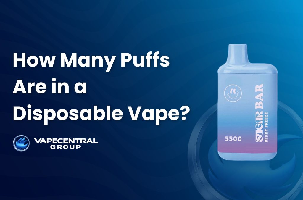 How Many Puffs Does a Disposable Vape Have